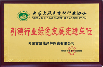 引领行业绿色发展先进单位