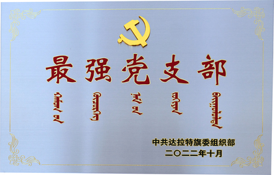 最强党支部